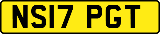 NS17PGT