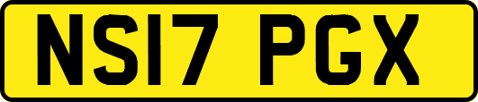 NS17PGX