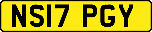NS17PGY