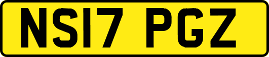 NS17PGZ
