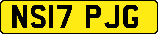 NS17PJG
