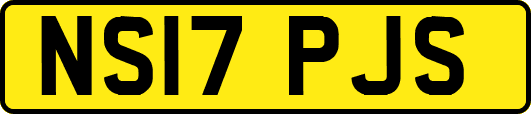 NS17PJS