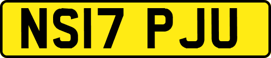 NS17PJU