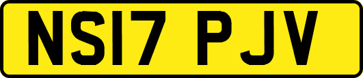 NS17PJV