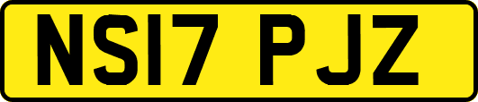 NS17PJZ