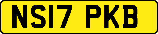 NS17PKB