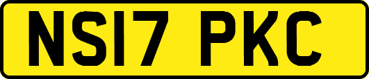 NS17PKC