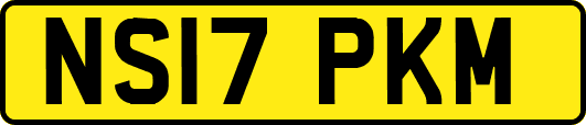 NS17PKM