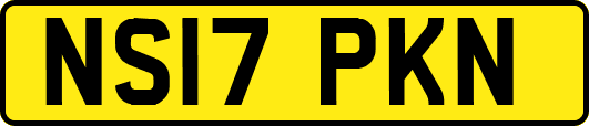 NS17PKN
