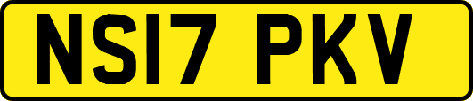 NS17PKV