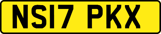 NS17PKX