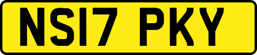 NS17PKY