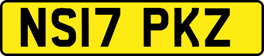 NS17PKZ