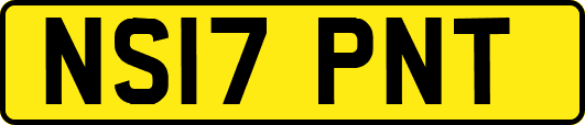 NS17PNT