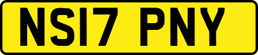 NS17PNY