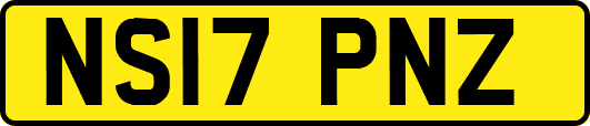 NS17PNZ
