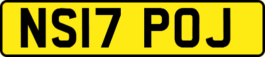NS17POJ
