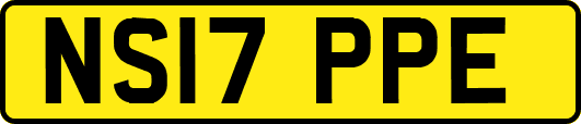 NS17PPE