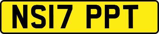 NS17PPT
