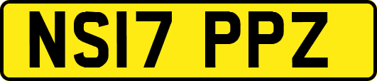 NS17PPZ