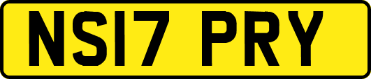 NS17PRY