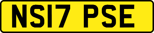 NS17PSE