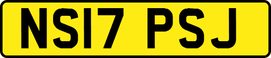 NS17PSJ