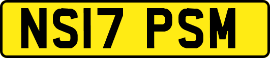 NS17PSM