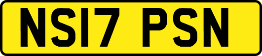 NS17PSN