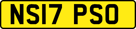NS17PSO