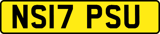 NS17PSU