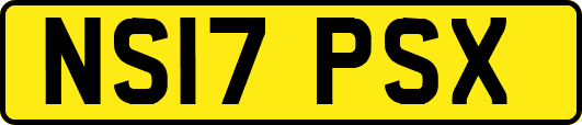 NS17PSX