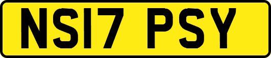 NS17PSY