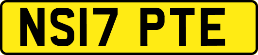 NS17PTE