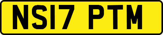 NS17PTM