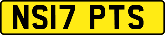NS17PTS