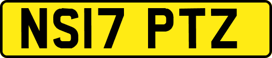 NS17PTZ