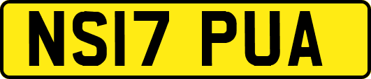 NS17PUA