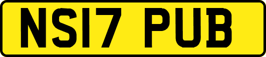 NS17PUB