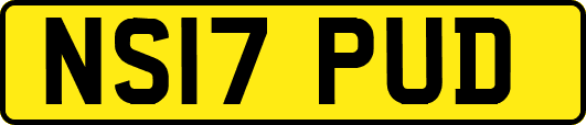 NS17PUD