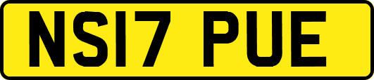 NS17PUE