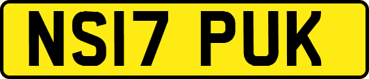 NS17PUK