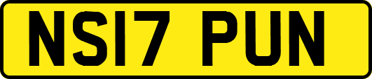 NS17PUN