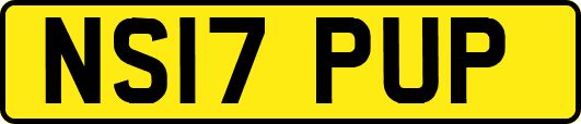 NS17PUP