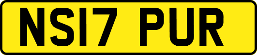 NS17PUR