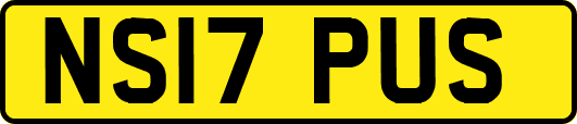 NS17PUS