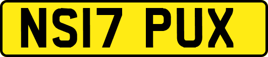 NS17PUX
