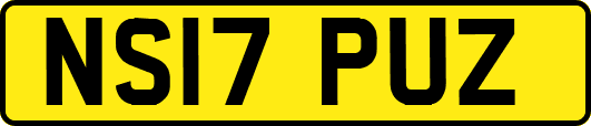 NS17PUZ