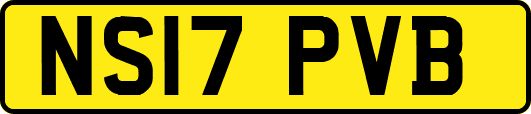 NS17PVB