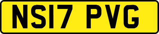 NS17PVG